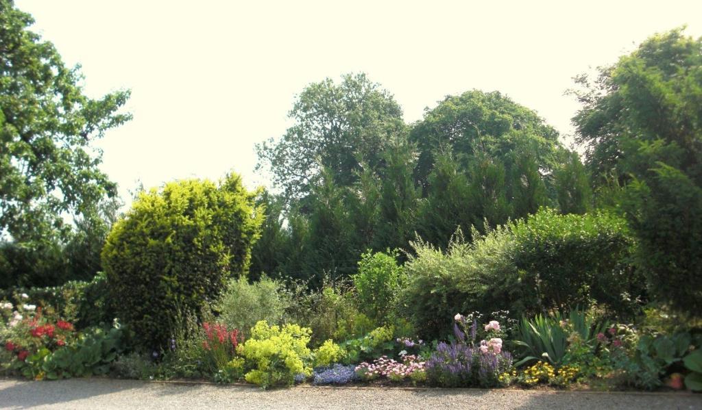 Studio Sur Pierri Louveigne Luaran gambar